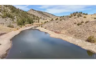 100 Sheep Mountain Ct, Livermore, CO 80536 - Photo 21