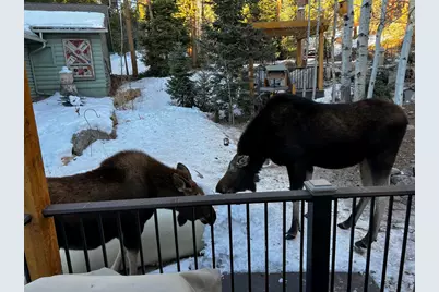 124 Ski Rd, Allenspark, CO 80510 - Photo 7