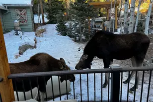 124 Ski Rd, Allenspark, CO 80510 - Photo 7