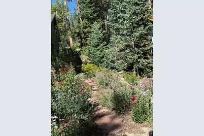 124 Ski Rd, Allenspark, CO 80510 - Photo 27