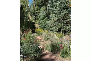 124 Ski Rd, Allenspark, CO 80510 - Photo 27
