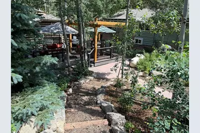 124 Ski Rd, Allenspark, CO 80510 - Photo 25