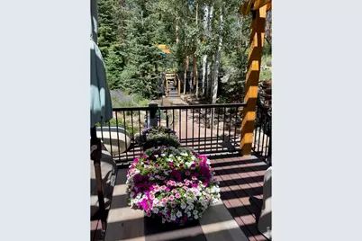 124 Ski Rd, Allenspark, CO 80510 - Photo 7