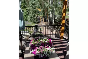 124 Ski Rd, Allenspark, CO 80510 - Photo 7