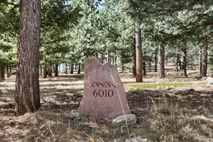 6010 Flagstaff Rd, Boulder, CO 80302 - Photo 5