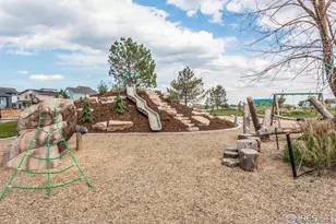 6019 Denys Dr., Timnath, CO 80547 - Photo 37