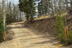 146 Selkirk Ln, Jefferson, CO 80456 - Photo 37