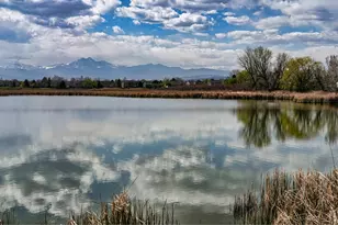 1703 Whitehall Dr, Longmont, CO 80504 - Photo 35