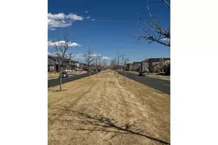 1691 Grand Ave, Windsor, CO 80550 - Photo 21