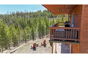 51 Tenino Ct, Red Feather Lakes, CO 80545 - Photo 29