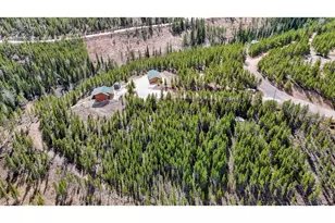 51 Tenino Ct, Red Feather Lakes, CO 80545 - Photo 3