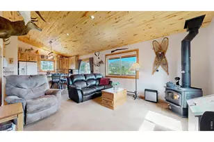 51 Tenino Ct, Red Feather Lakes, CO 80545 - Photo 9