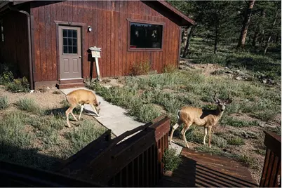 231 Modoc Ct, Red Feather Lakes, CO 80545 - Photo 41