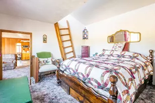 843 Nokomis Rd, Red Feather Lakes, CO 80545 - Photo 11