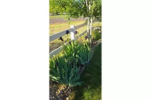 10038 Buttesfield St, Firestone, CO 80504 - Photo 47