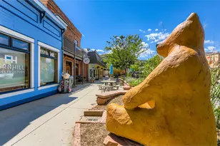 11 Red Gulch Rd, Lyons, CO 80540 - Photo 43