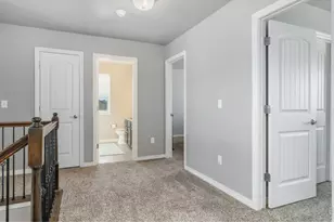 5989 Clarence Dr, Windsor, CO 80550 - Photo 19