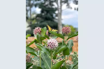 3507 Oak Hill Ct, Fort Collins, CO 80526 - Photo 43