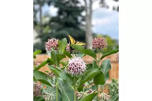 3507 Oak Hill Ct, Fort Collins, CO 80526 - Photo 43