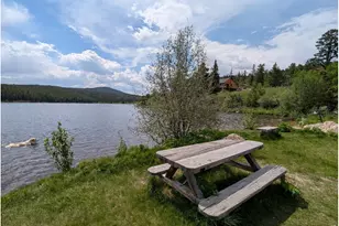 321 Tonkawa Dr, Red Feather Lakes, CO 80545 - Photo 33