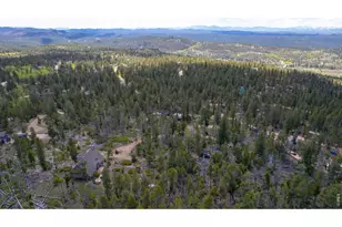 321 Tonkawa Dr, Red Feather Lakes, CO 80545 - Photo 3