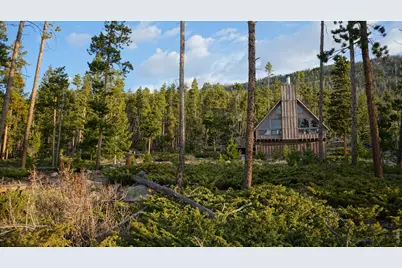 321 Tonkawa Dr, Red Feather Lakes, CO 80545 - Photo 19