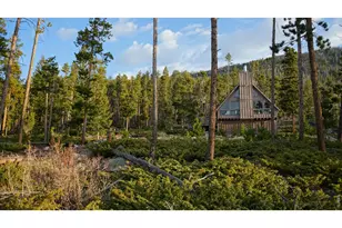 321 Tonkawa Dr, Red Feather Lakes, CO 80545 - Photo 19