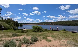 321 Tonkawa Dr, Red Feather Lakes, CO 80545 - Photo 31