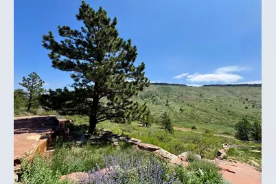 2901 Stone Canyon Rd, Lyons, CO 80540 - Photo 23