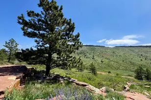 2901 Stone Canyon Rd, Lyons, CO 80540 - Photo 23