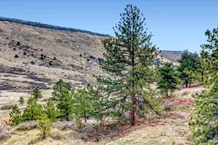 2901 Stone Canyon Rd, Longmont, CO 80503 - Photo 3