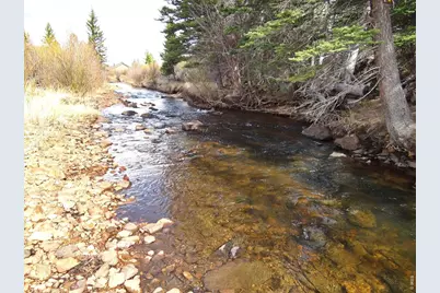 7498 Ottawa Way, Red Feather Lakes, CO 80545 - Photo 1