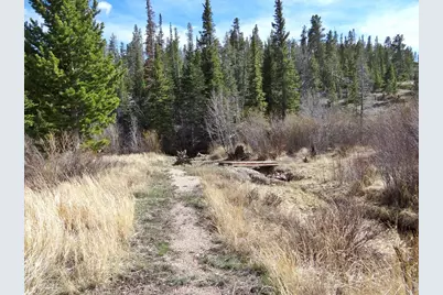 7498 Ottawa Way, Red Feather Lakes, CO 80545 - Photo 15