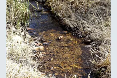 7498 Ottawa Way, Red Feather Lakes, CO 80545 - Photo 9