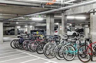 204 Maple St, Fort Collins, CO 80521 - Photo 37