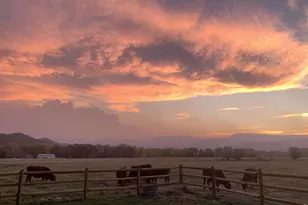 3501 Galway Dr, Laporte, CO 80535 - Photo 33