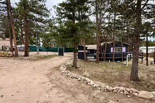 60 Pine Nut Ln, Red Feather Lakes, CO 80545 - Photo 15