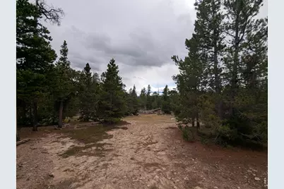 44 Catamount Ct, Red Feather Lakes, CO 80545 - Photo 7