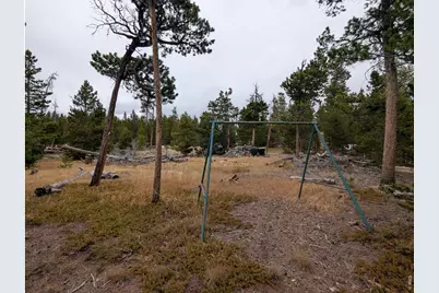 44 Catamount Ct, Red Feather Lakes, CO 80545 - Photo 9