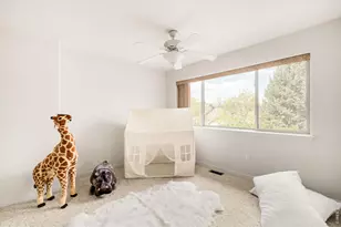 903 Hover Ridge Cir, Longmont, CO 80501 - Photo 19