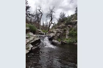 439 Redtail Ridge Way, Bellvue, CO 80512 - Photo 11