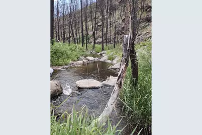 439 Redtail Ridge Way, Bellvue, CO 80512 - Photo 5