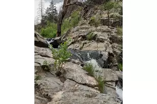 439 Redtail Rdg Wy, Bellvue, CO 80512 - Photo 1