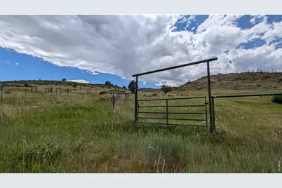 439 Redtail Ridge Way, Bellvue, CO 80512 - Photo 39