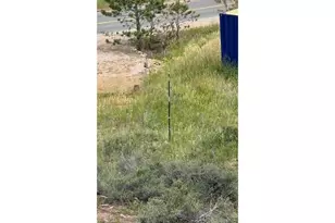 885 Co Rd 67J, Red Feather Lakes, CO 80545 - Photo 25