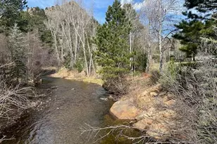 Old Ranger Dr, Estes Park, CO 80517 - Photo 1