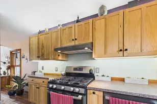 131 W Boulder St, Nederland, CO 80466 - Photo 11