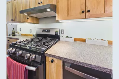 131 W Boulder St, Nederland, CO 80466 - Photo 15