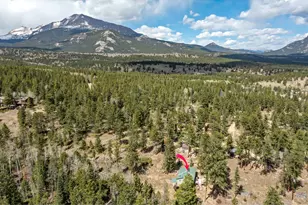 131 Co Rd 90, Allenspark, CO 80510 - Photo 19