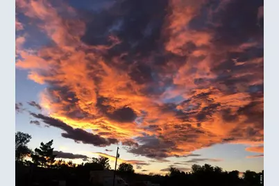 218 Bothun Rd, Berthoud, CO 80513 - Photo 31